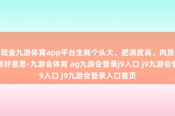 现金九游体育app平台生蚝个头大、肥满度高、肉质爽滑、滋味鲜好意思-九游会体育 ag九游会登录j9入口 j9九游会登录入口首页